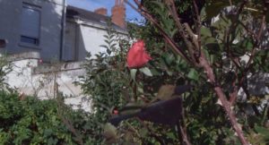 Presque qu'un Siècle - un film de Pascale Bodet